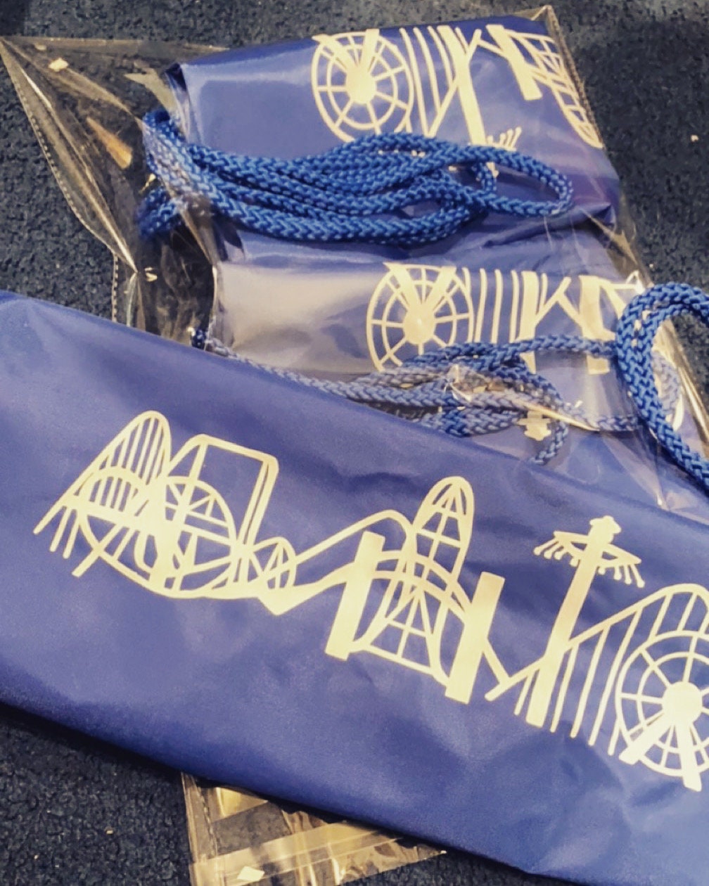 Cedar Point DrawString Bag