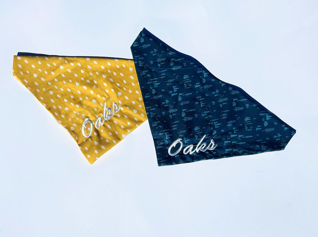 TRAIL Sweatshirt and Matching Bandana Set – Custom Embroidered Trail Sweatshirt + Dog Bandana | Adventure Dog Outfit | Gift for Dog Lovers